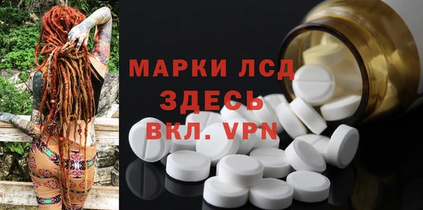 твердый Чекалин