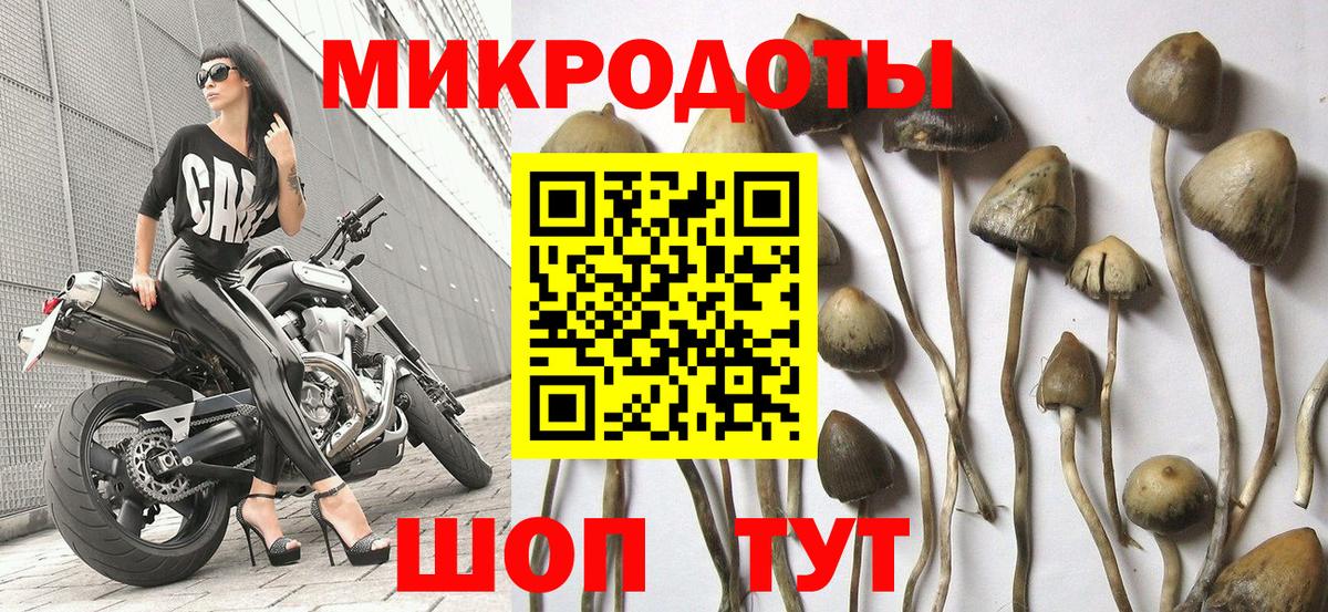 Гагарин  Галлюциногенные грибы Cubensis  Псилоцибиновые грибы MAGIC MUSHROOMS  Вход с VPN 