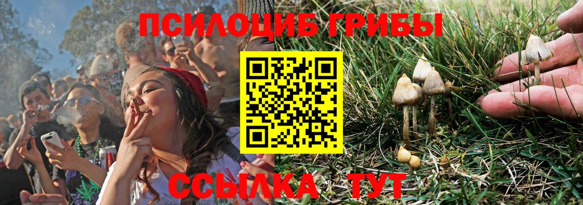 Псилоцибиновые грибы GOLDEN TEACHER Гагарин